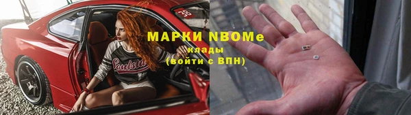 Альфа ПВП Белокуриха
