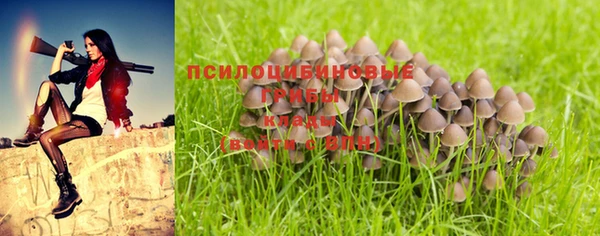 MDMA Покров