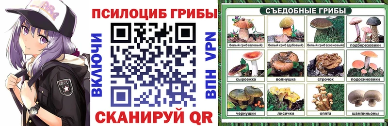 маркетплейс клад  Кумертау  Галлюциногенные грибы Psilocybe 